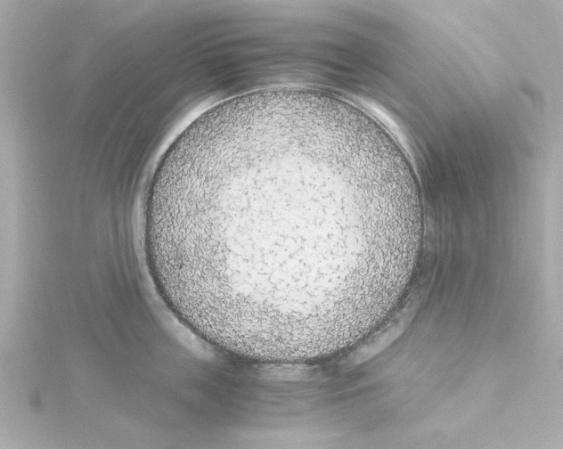 X0000115260859200911271924