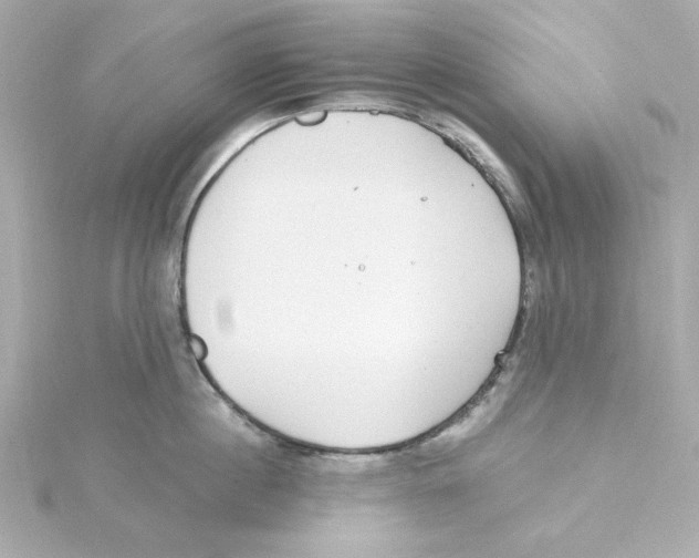 X0000115260860200911271924