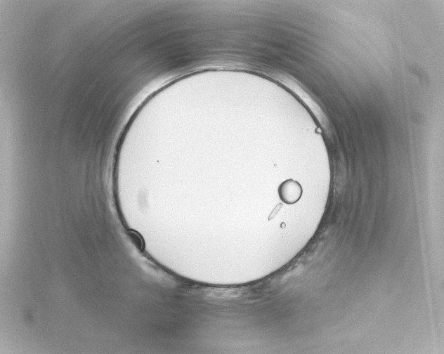 X0000115260861200911271924