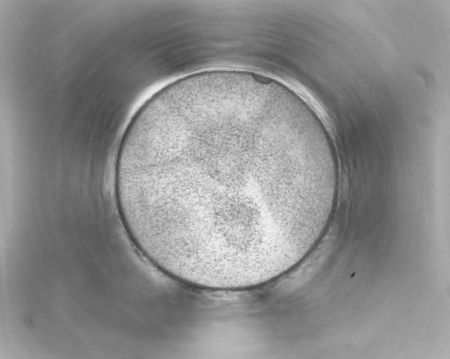 X0000115260862200911271924