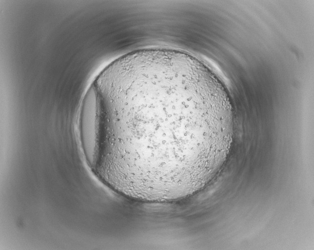 X0000115260863200911271924