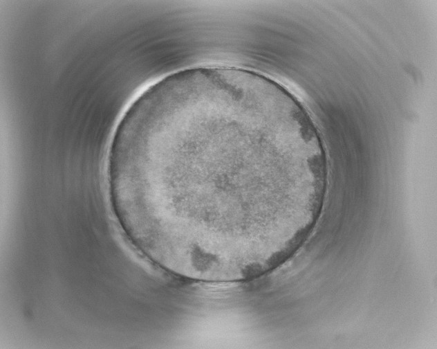 X0000115260864200911271924