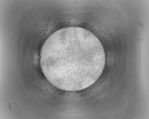 X0000115260866200911271924