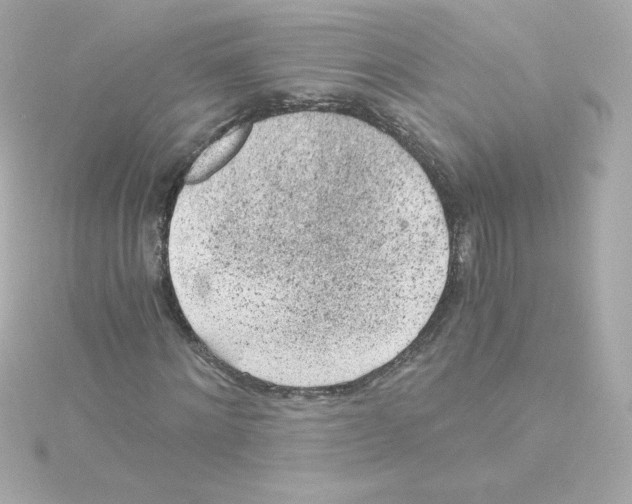 X0000115260868200911271924