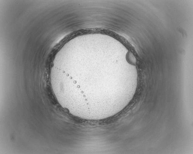 X0000115260871200911271924