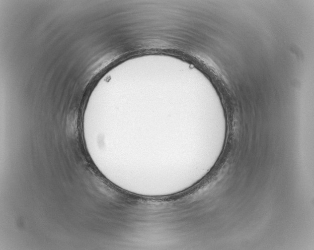 X0000115260873200911271923