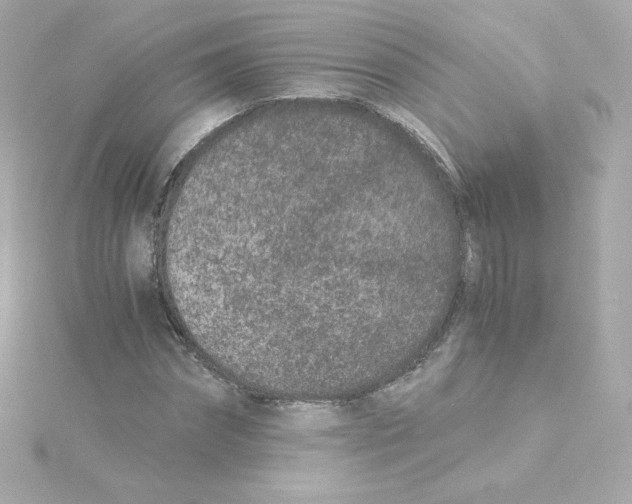 X0000115260874200911271923