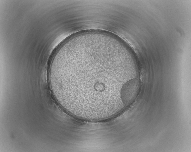 X0000115260877200911271923