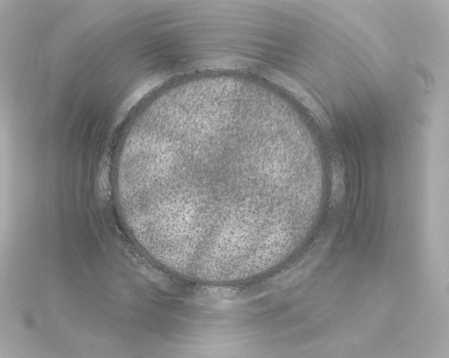 X0000115260878200911271923