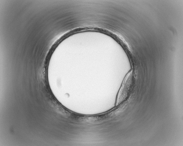 X0000115260879200911271923