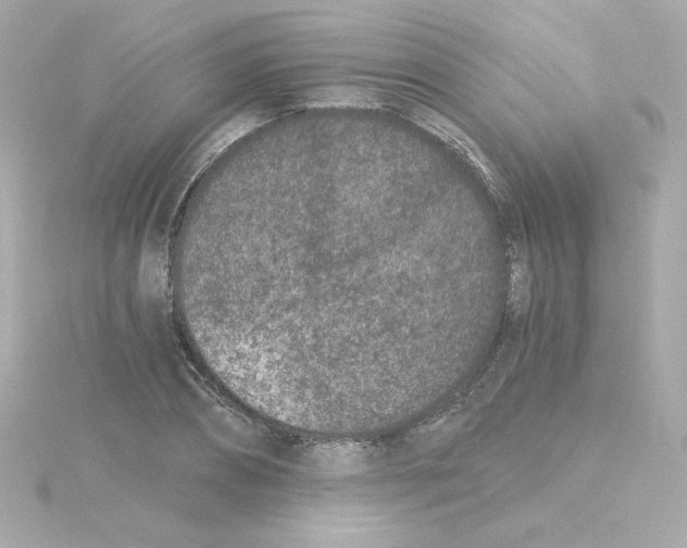 X0000115260882200911271923