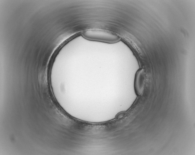 X0000115260884200911271923