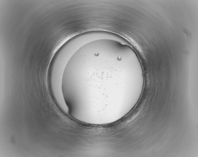 X0000115260885200911271923