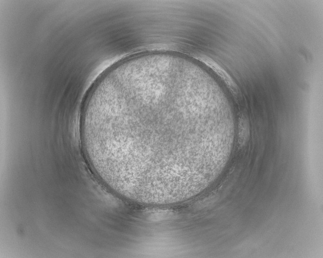 X0000115260886200911271923