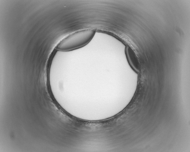 X0000115260888200911271923