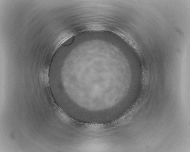 X0000115260889200911271923