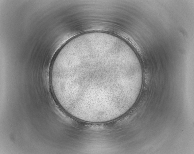 X0000115260890200911271923