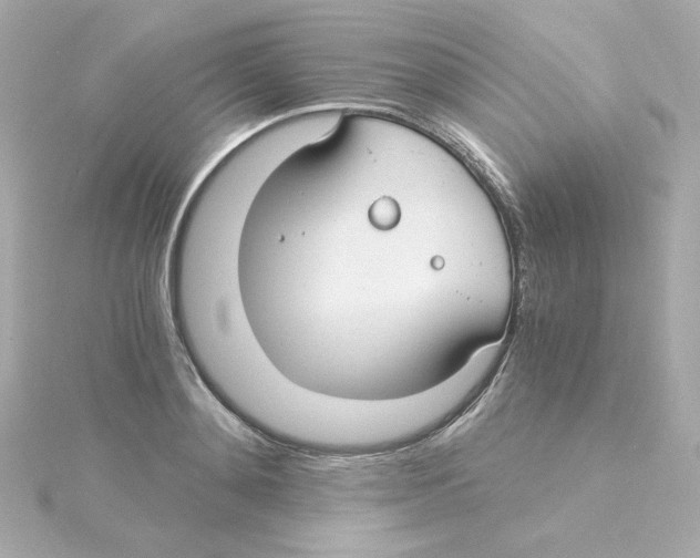 X0000115260892200911271923