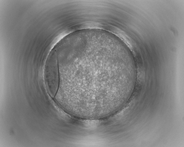 X0000115260893200911271923