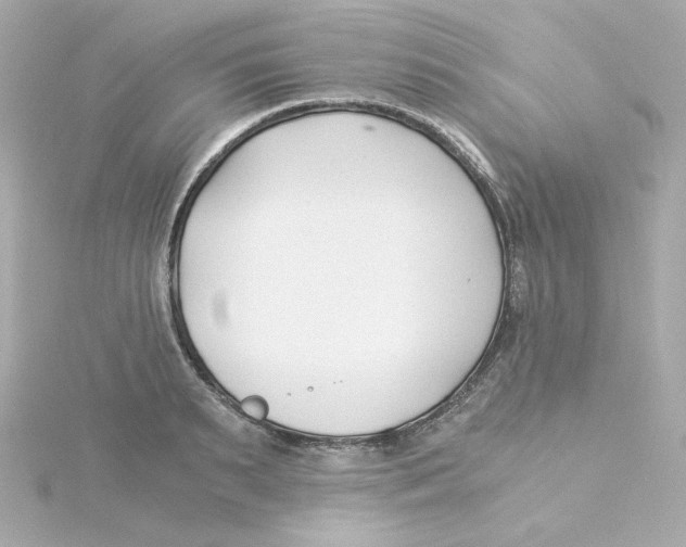 X0000115260895200911271923