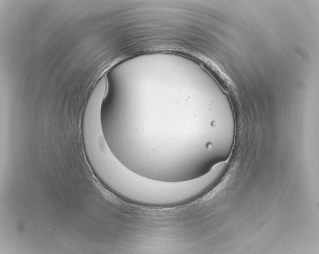 X0000115260897200911271923