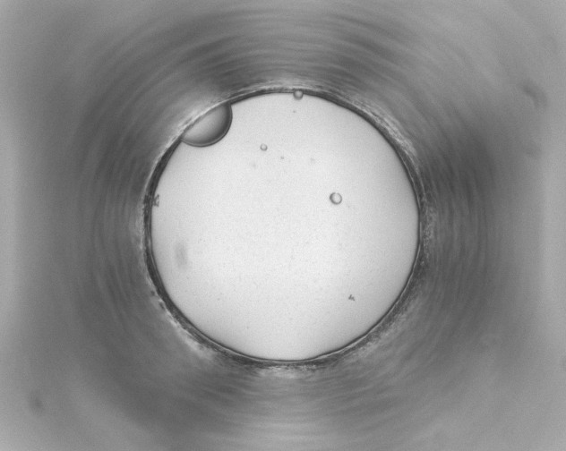 X0000115260898200911271923