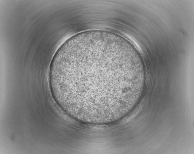 X0000115260899200911271923