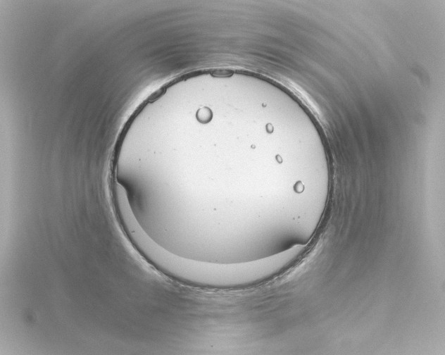 X0000115260901200911271923