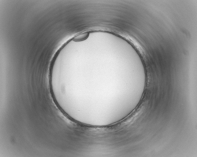 X0000115260902200911271923