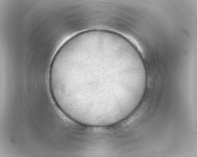 X0000115260903200911271923