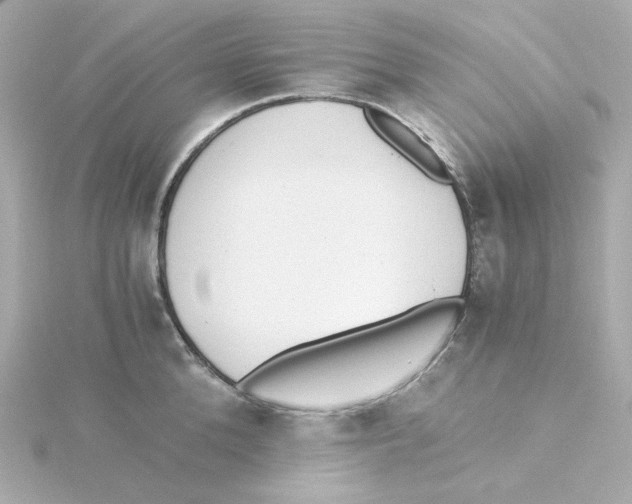 X0000115260904200911271923