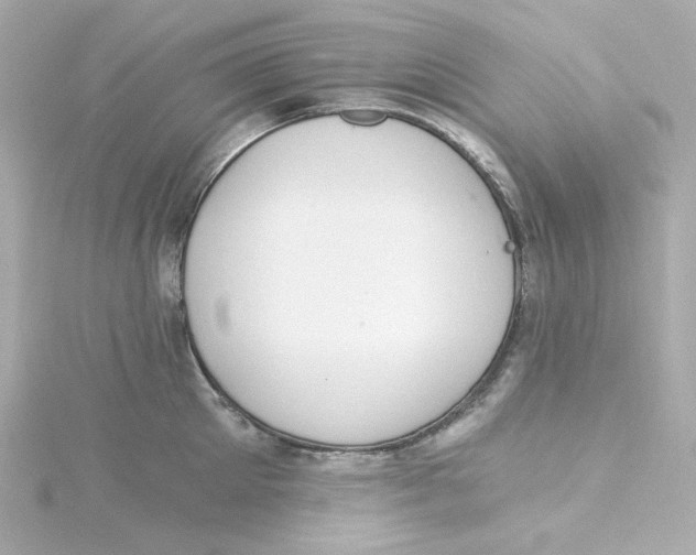 X0000115260905200911271923