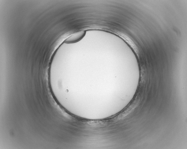 X0000115260906200911271923