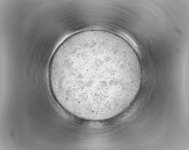 X0000115260907200911271923