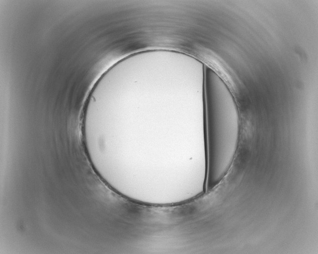 X0000115260908200911271923