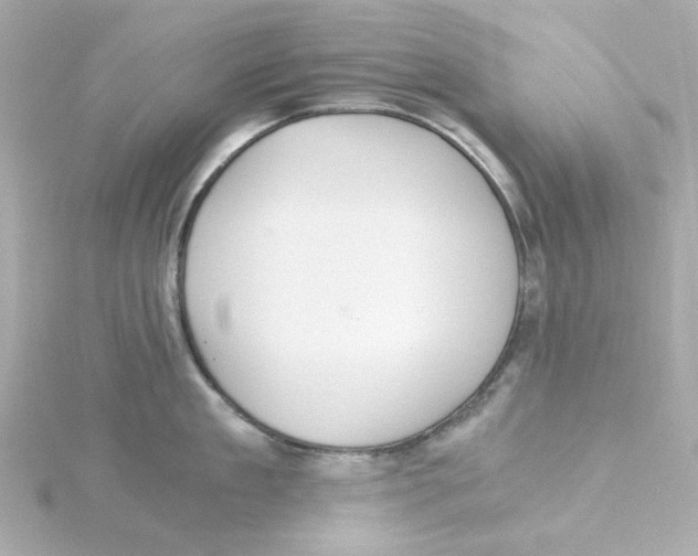 X0000115260909200911271923