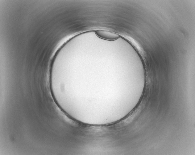 X0000115260910200911271923