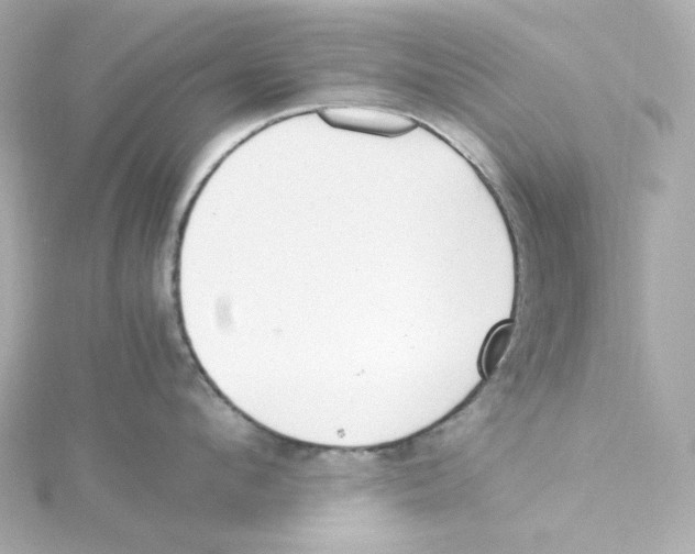 X0000115260912200911271923