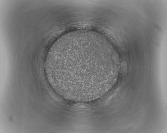 X0000115260913200911271922