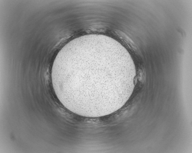 X0000115260915200911271922