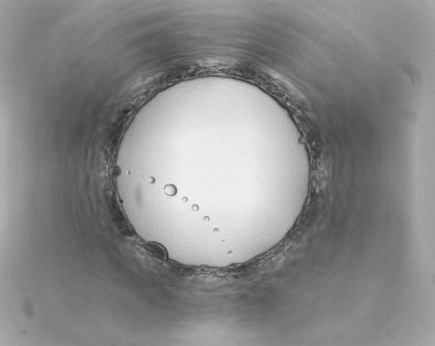 X0000115260917200911271922