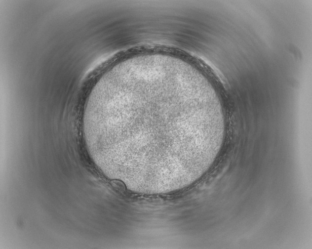 X0000115260919200911271922