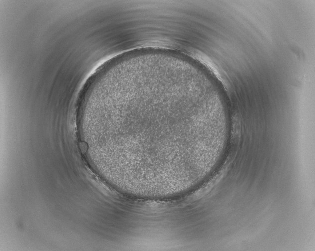 X0000115260923200911271923