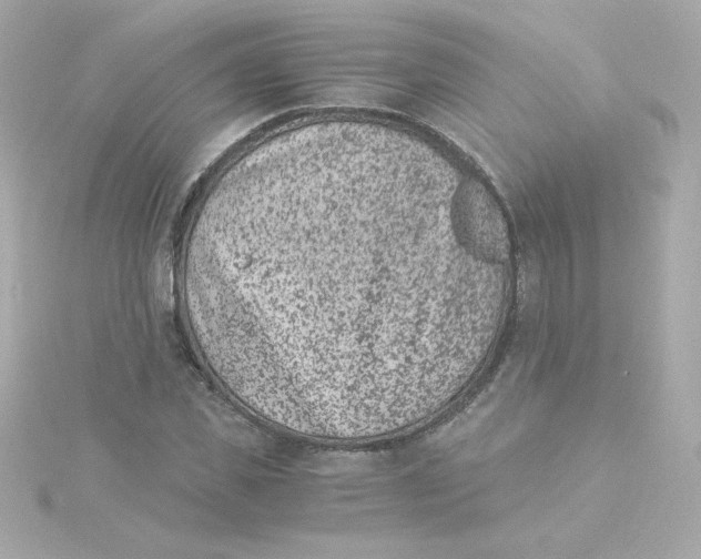 X0000115260925200911271923