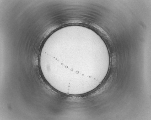 X0000115260929200911271923