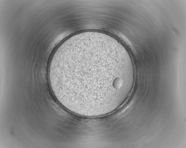 X0000115260930200911271923