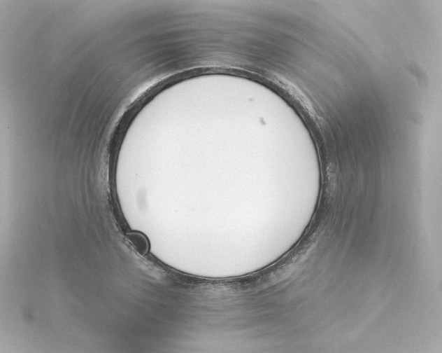 X0000115260931200911271923