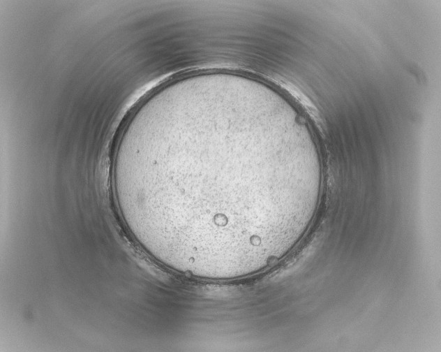 X0000115260933200911271923