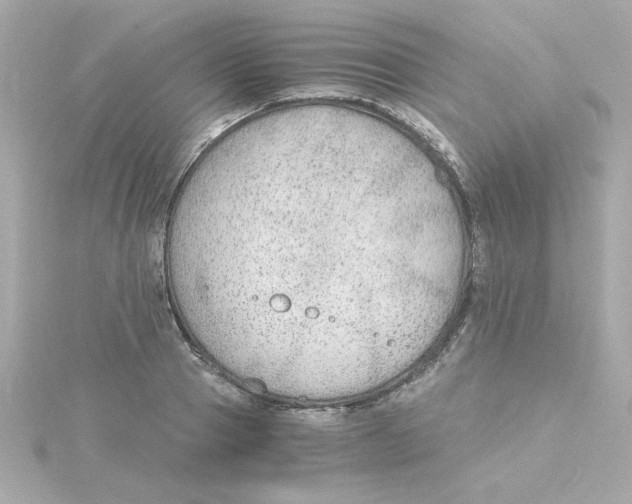 X0000115260937200911271923