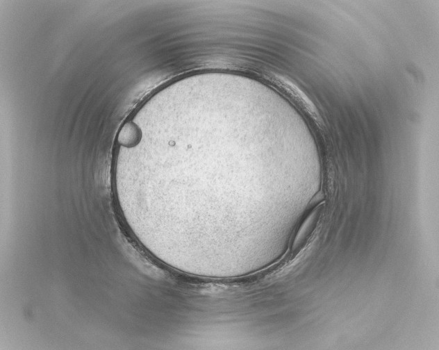 X0000115260938200911271923